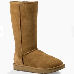 Uggs - Tall Chestnut